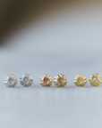 Hannah Blount Jewelry Barnacle Ruthie B. Studs in Sterling Silver