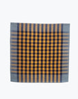 All Roads Grid Napkin Pair in Storm