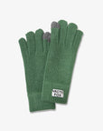 Arctic Fox Recycled Bottle Gloves in Forest Fern