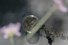 Load image into Gallery viewer, Leaves &amp; Flowers Tea- Serenitas
